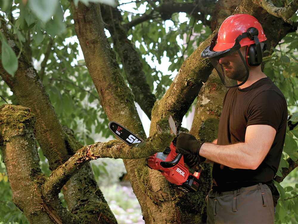 PROMOCIÓN - Skil 0534CA