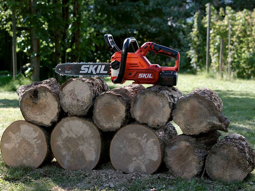 PROMOCIÓN - Skil 0534CA